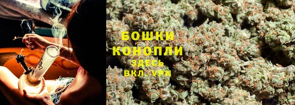 бошки Тында
