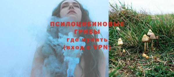 бошки Тында