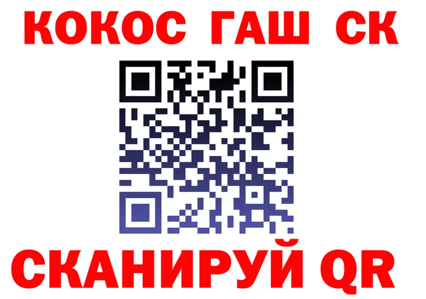 ГАШ Premium вход площадка блэк спрут Сочи