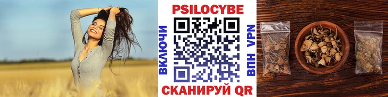 наркотики  Сочи  гидра ССЫЛКА  Галлюциногенные грибы MAGIC MUSHROOMS 