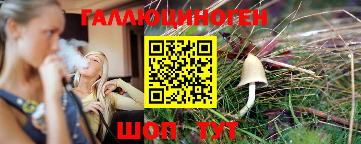 где купить наркотик  Вход с VPN  Сочи  Псилоцибиновые грибы Cubensis 