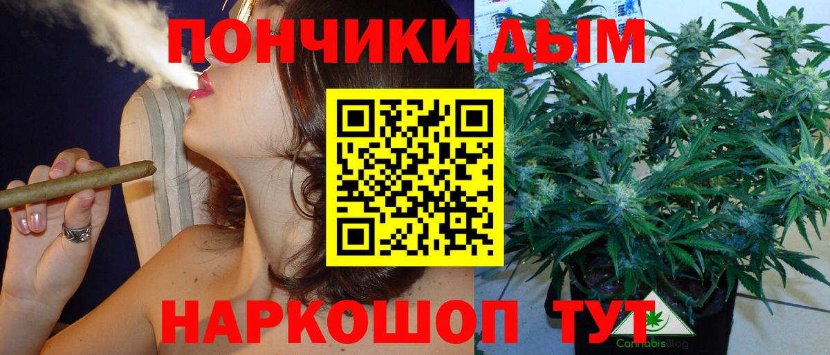 Конопля конопля Сочи